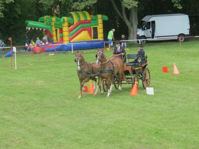 Foto des Albums: 3.Turniertag 66.Reit-und Fahrturnier (27.08.2017)