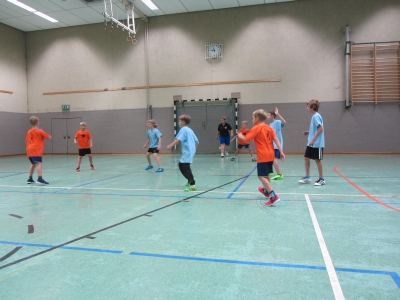 Foto des Albums: Handballturnier 2017