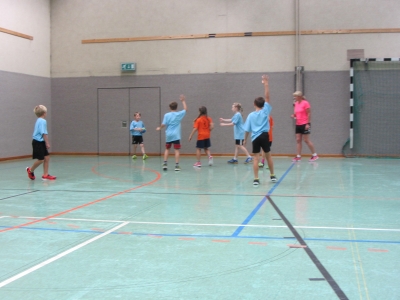 Foto des Albums: Handballturnier 2017