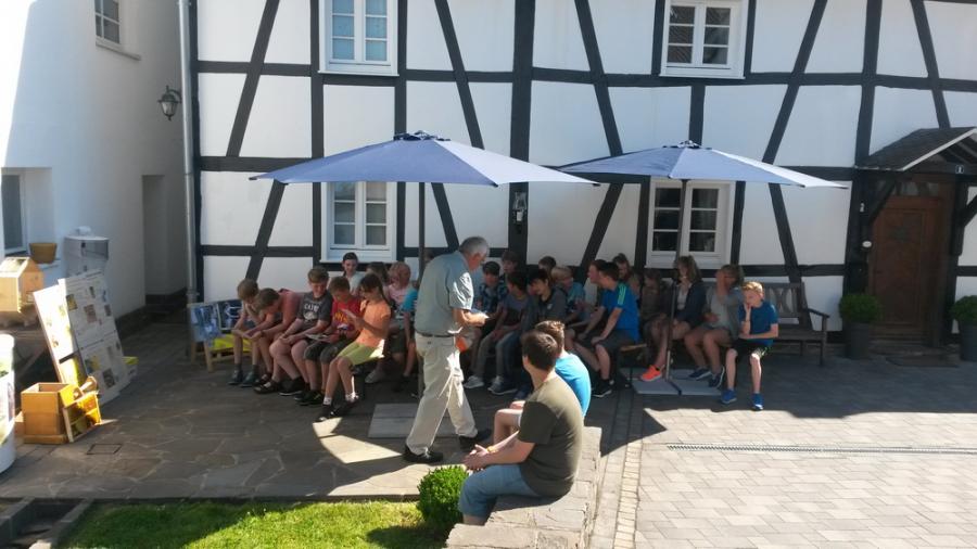 Bild der Galerie