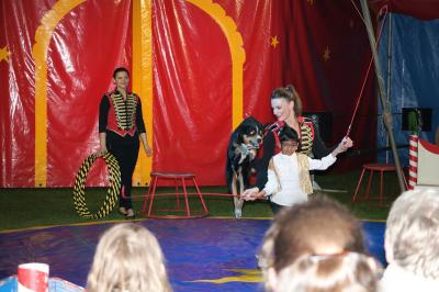 Hundedressur 
