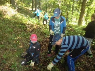 Foto des Albums: Waldschulheim Wahlsmühle Klasse 4a
