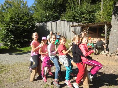 Foto des Albums: Waldschulheim Wahlsmühle Klasse 4a