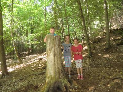 Foto des Albums: Waldschulheim Wahlsmühle Klasse 4a
