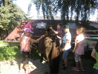 Foto des Albums: Waldschulheim Wahlsmühle Klasse 4a