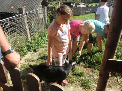 Foto des Albums: Waldschulheim Wahlsmühle Klasse 4a