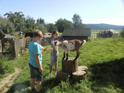Foto des Albums: Waldschulheim Wahlsmühle Klasse 4a