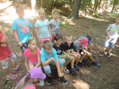 Foto des Albums: Waldschulheim Wahlsmühle Klasse 4a