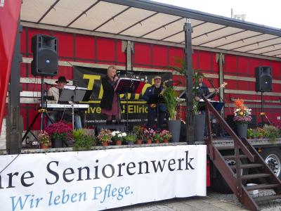 Foto des Albums: Herbstmarkt vom Asternhof Ellrich 2017 (07. 09. 2017)