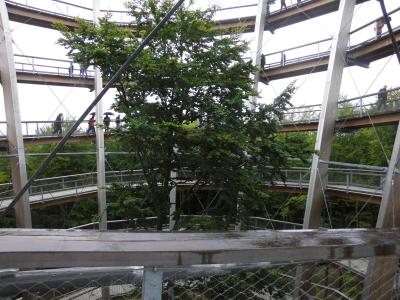 Foto des Albums: Ausflug der Soldatenkameradschaft Goßmannsdorf
