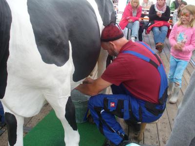 Wettmelken  (Bild vergr&ouml;&szlig;ern)
