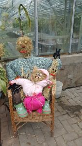 Foto des Albums: Wir sagen Danke ....