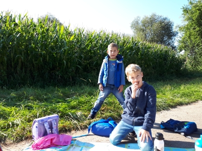 Foto des Albums: Wanderung Elefanten und Frösche