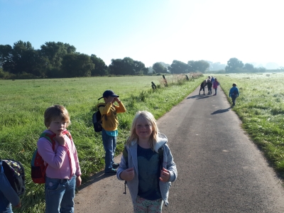 Foto des Albums: Wanderung Elefanten und Frösche