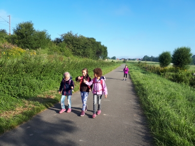 Foto des Albums: Wanderung Elefanten und Frösche