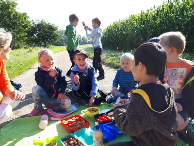 Foto des Albums: Wanderung Elefanten und Frösche