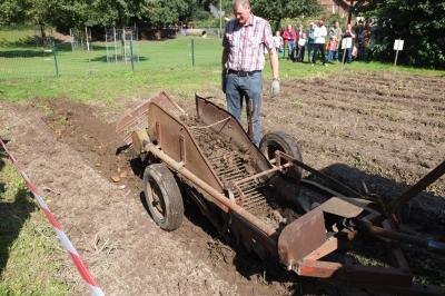 Foto des Albums: Erntefest 2017