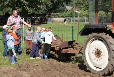 Foto des Albums: Erntefest 2017