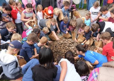 Foto des Albums: Erntefest 2017
