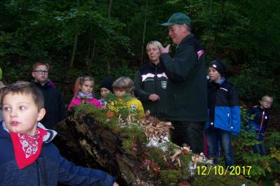 Foto des Albums: Biberwanderung Forsthof Gädebehn