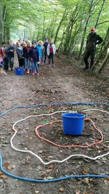 Foto des Albums: Biberwanderung Forsthof Gädebehn