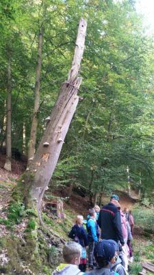 Foto des Albums: Biberwanderung Forsthof Gädebehn