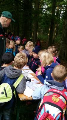 Foto des Albums: Biberwanderung Forsthof Gädebehn