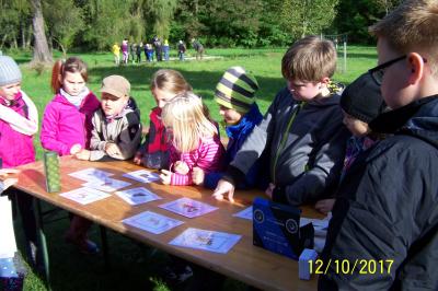 Foto des Albums: Biberwanderung Forsthof Gädebehn