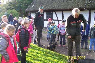 Foto des Albums: Biberwanderung Forsthof Gädebehn