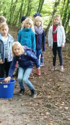 Foto des Albums: Biberwanderung Forsthof Gädebehn