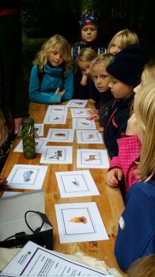 Foto des Albums: Biberwanderung Forsthof Gädebehn