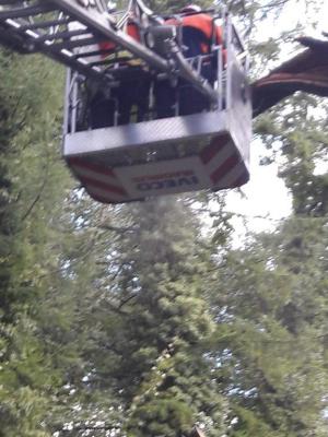 Foto des Albums: Einsatz Baum über Straße