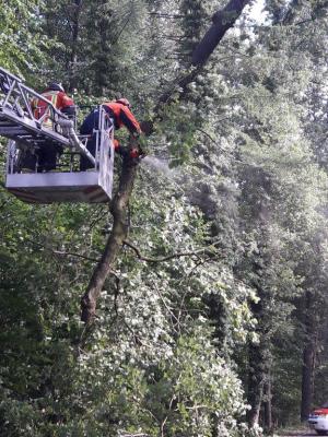 Foto des Albums: Einsatz Baum über Straße