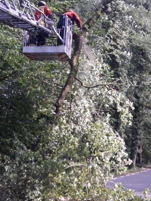 Foto des Albums: Einsatz Baum über Straße