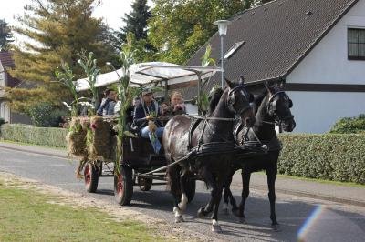 Foto des Albums: Erntefest in Freyenstein (30.09.2017)