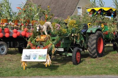 Foto des Albums: Erntefest in Freyenstein (30.09.2017)