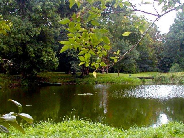Bild : Teich nahe der Orangerie