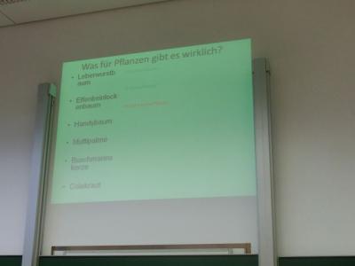 Leberwurst- oder Handybaum? Welche Pflanzen gibt es wirklich? 