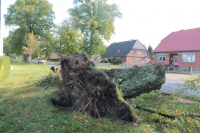 Foto des Albums: Xavier - auch unsere Wehren waren im Einsatz (06.10.2017)