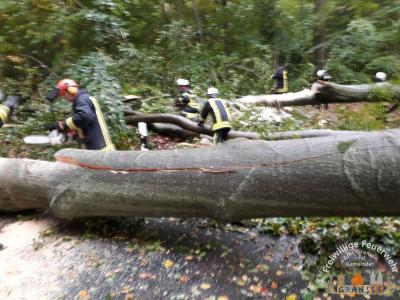 Ortsverbindung B96-Seilershof 