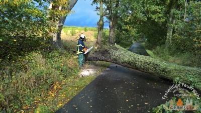 Ortsverbindung Gransee-Meseberg Fahradweg 