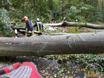 Ortsverbindung B96-Seilershof 