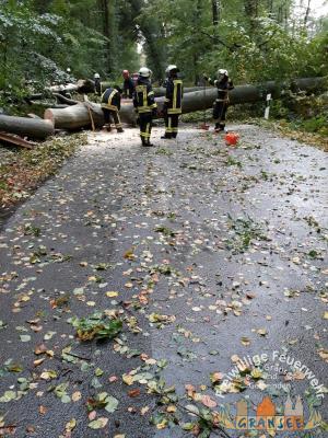 Ortsverbindung B96-Seilershof 