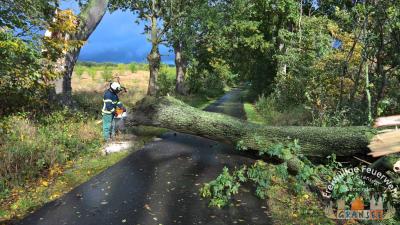 Ortsverbindung Gransee-Meseberg Fahradweg 