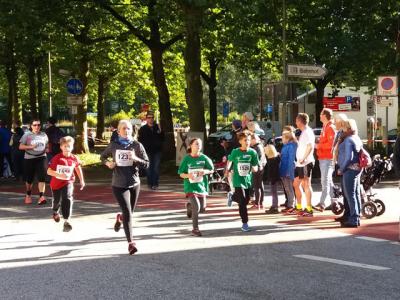 Foto des Albums: Elmshorner Stadtlauf 2017