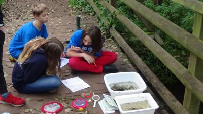 Foto des Albums: Die AFG im Schüler-Wassercamp