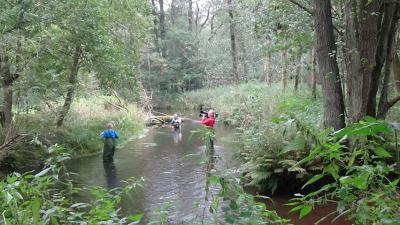 Foto des Albums: Die AFG im Schüler-Wassercamp