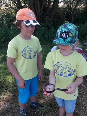 Foto des Albums: Wandertag zum Erdbeerhof