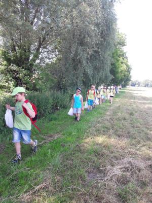 Foto des Albums: Wandertag zum Erdbeerhof