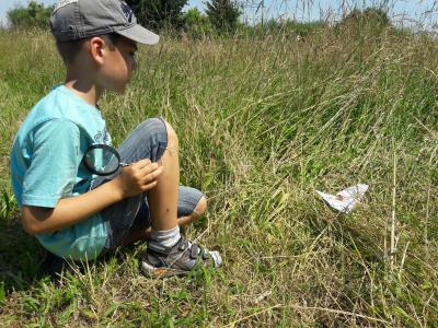 Foto des Albums: Wandertag zum Erdbeerhof